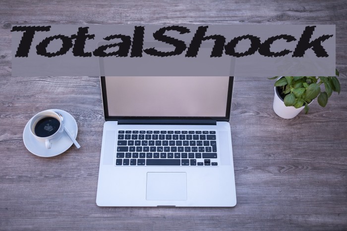 TotalShock Example 3