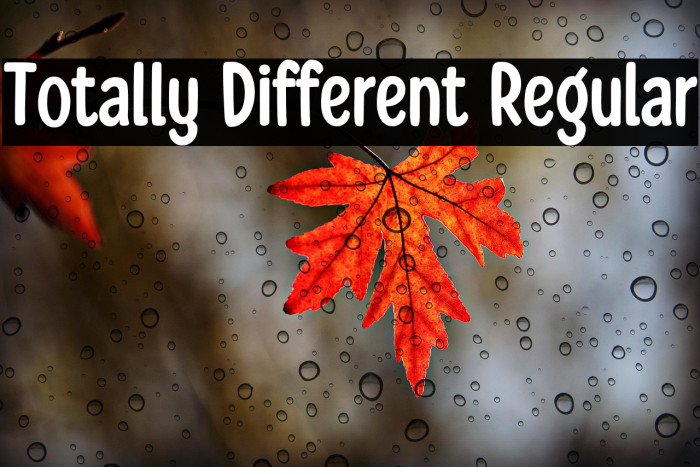 Totally Different Regular Example 1