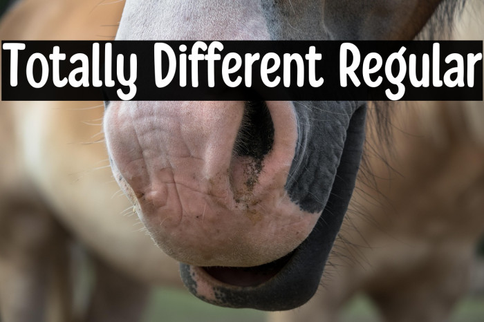 Totally Different Regular Example 2