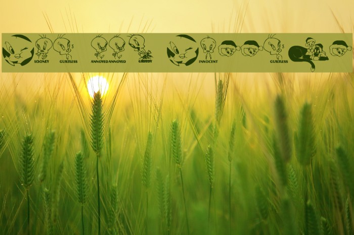 Totally Tweetie Example 1