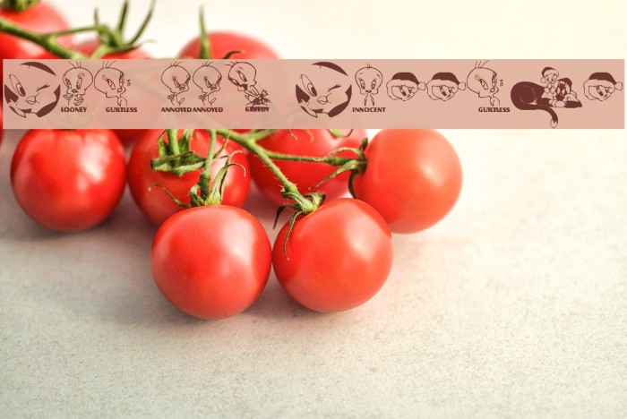 Totally Tweetie Example 2