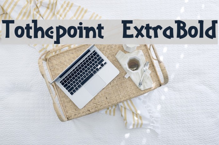 Tothepoint  ExtraBold Example 3
