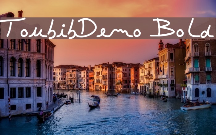 ToubibDemo Bold Font examples