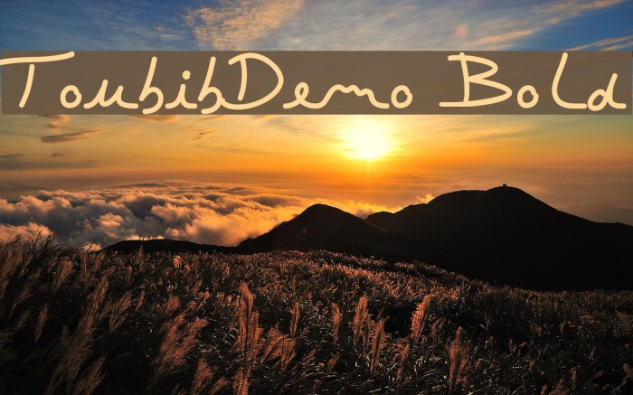 ToubibDemo Bold Font examples