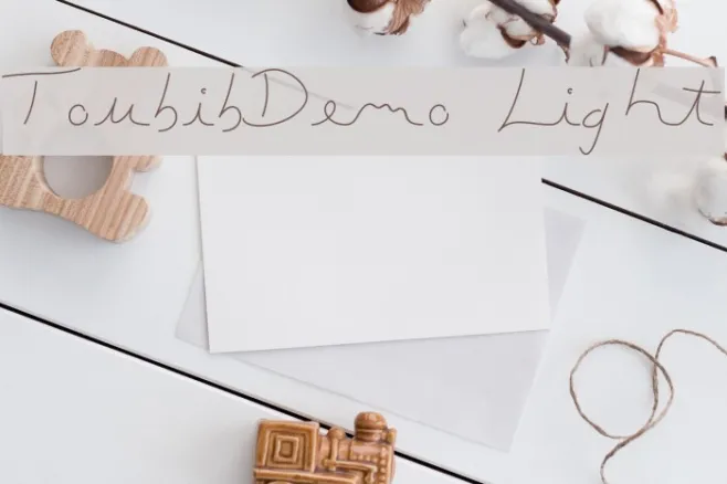 ToubibDemo Light Example 1