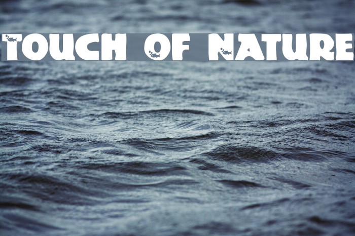 Touch Of Nature Font examples