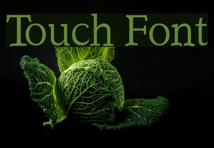 Touch Polices examples