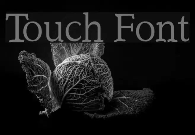 Touch Font examples