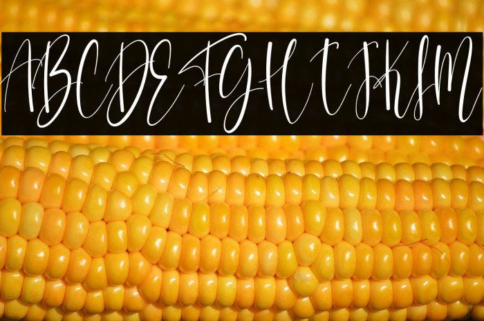 Tough Girl Example 2