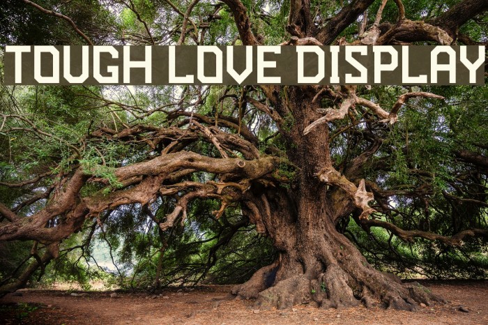 Tough Love Display Font examples