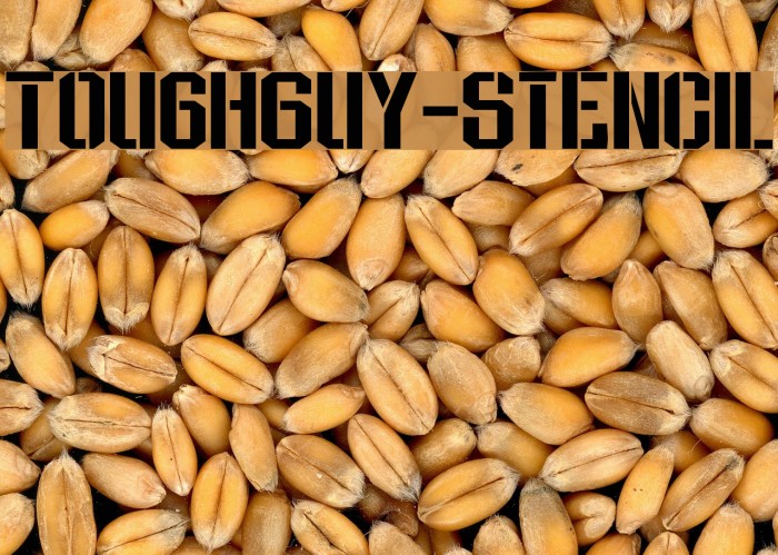 ToughGuy-Stencil Font examples