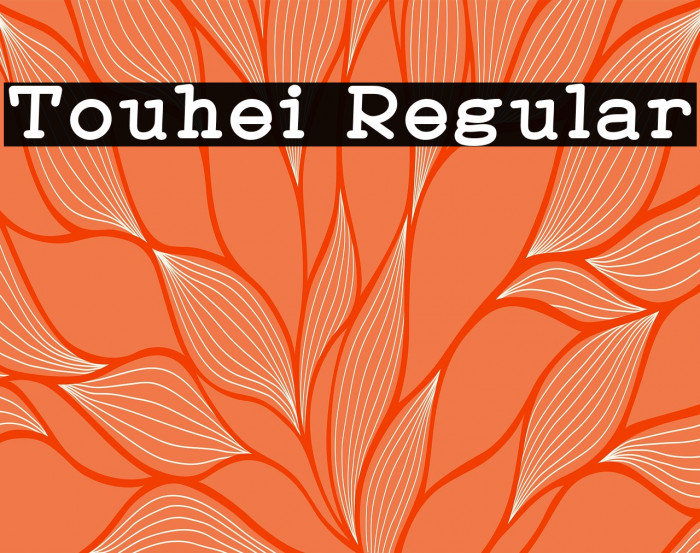 Touhei Regular Example 1