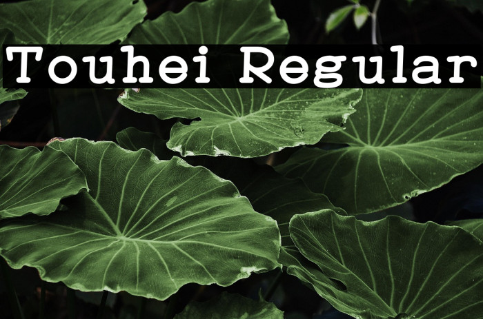 Touhei Regular Example 3