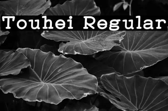 Touhei Regular خط examples
