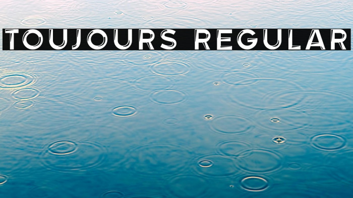 Toujours Regular Example 2