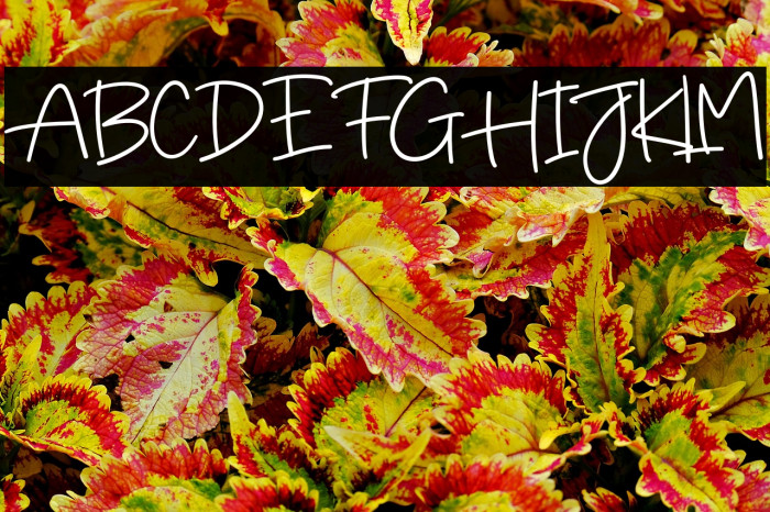 Tour To Amsterdam Example 1