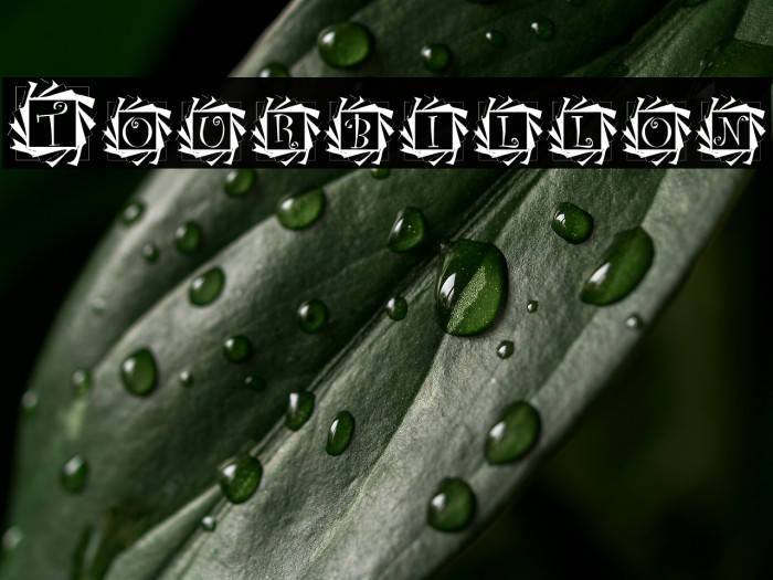 Tourbillon Example 1