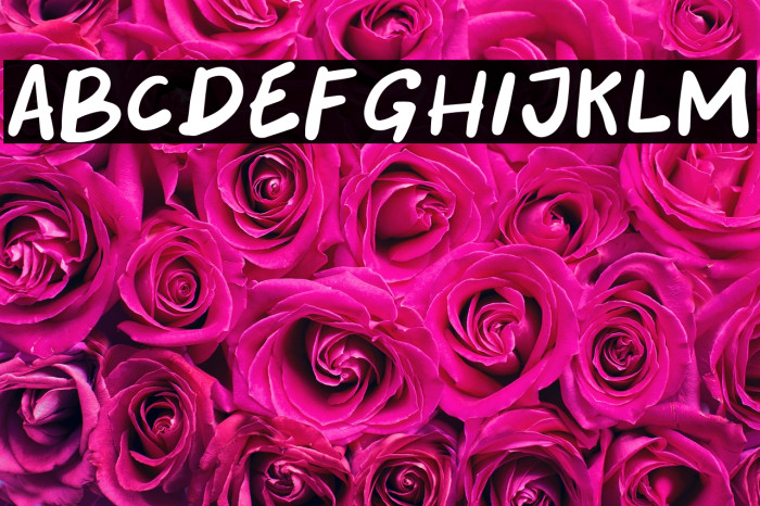 Tourism Days Example 1