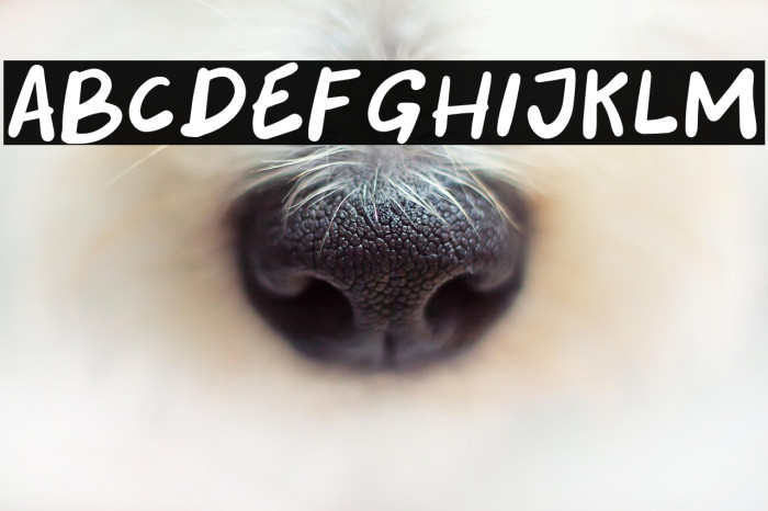 Tourism Days Example 3