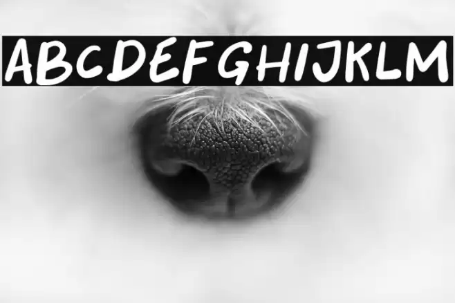 Tourism Days Font examples