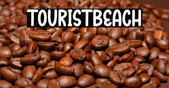 Tourist Beach Example 3