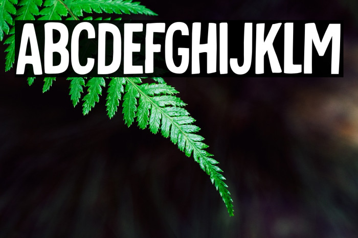 Tournedos DEMO Regular Font examples