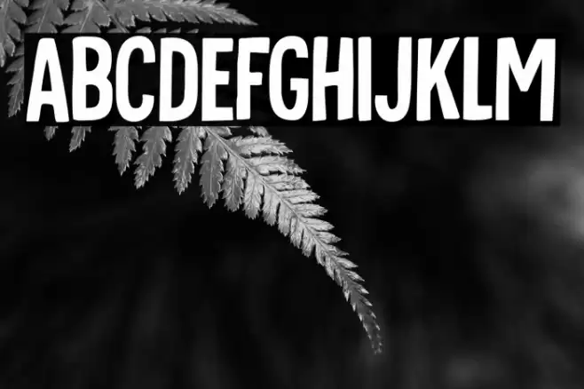 Tournedos DEMO Regular Font examples