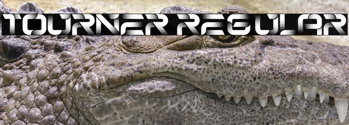 Tourner Regular Example 1