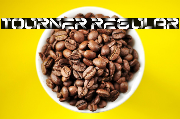 Tourner Regular Example 2