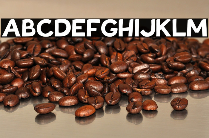 Tovari Sans Bold Example 2