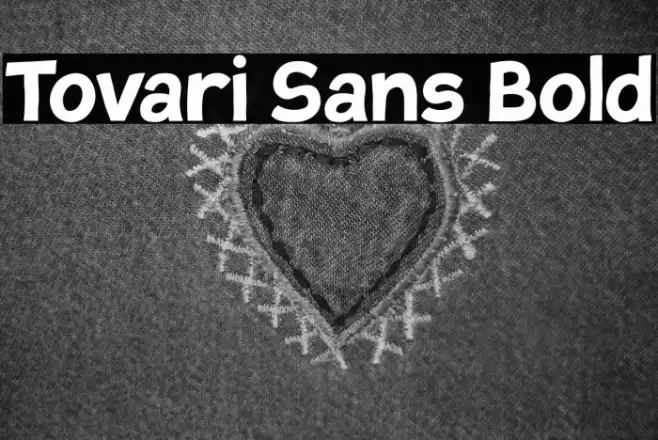 Tovari Sans Bold Font examples
