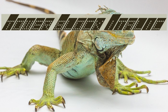 Tower Block Italic Example 3