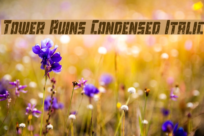 Tower Ruins Condensed Italic Example 2