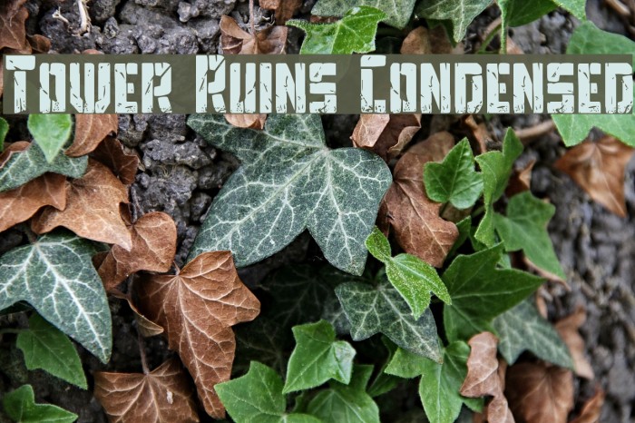 Tower Ruins Condensed Font examples