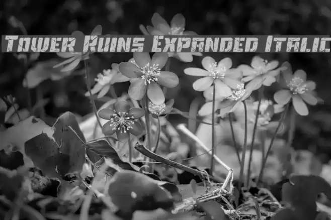 Tower Ruins Expanded Italic Font examples