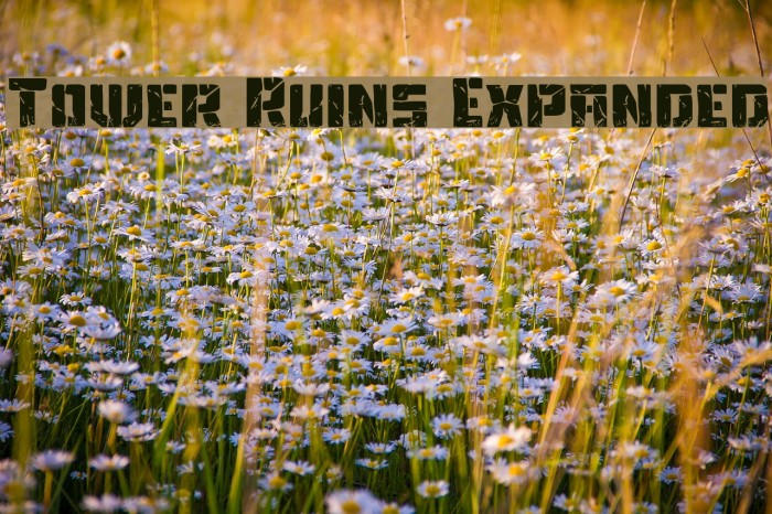 Tower Ruins Expanded Example 2