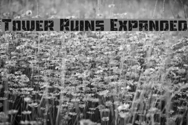 Tower Ruins Expanded Font examples