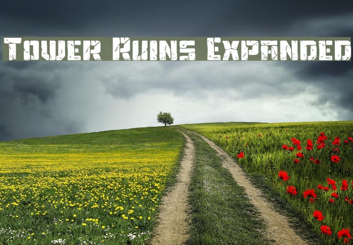 Tower Ruins Expanded Example 3