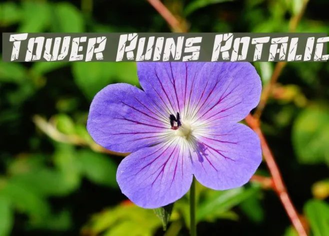 Tower Ruins Rotalic Example 2