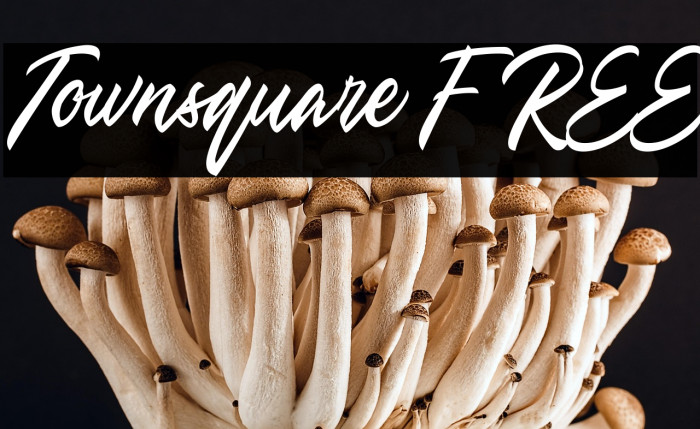 Townsquare FREE Example 1