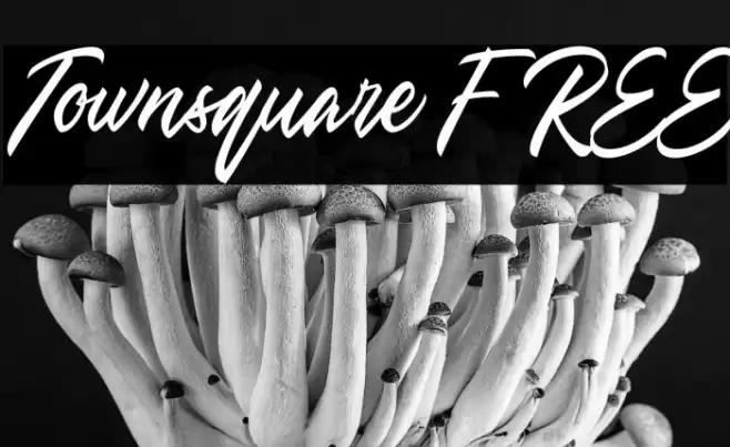 Townsquare FREE Caratteri examples