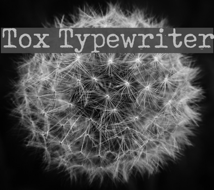 Tox Typewriter Font examples