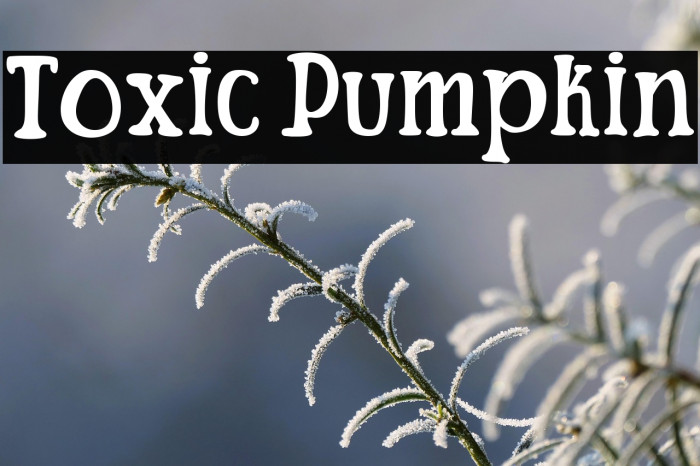 Toxic Pumpkin Example 2