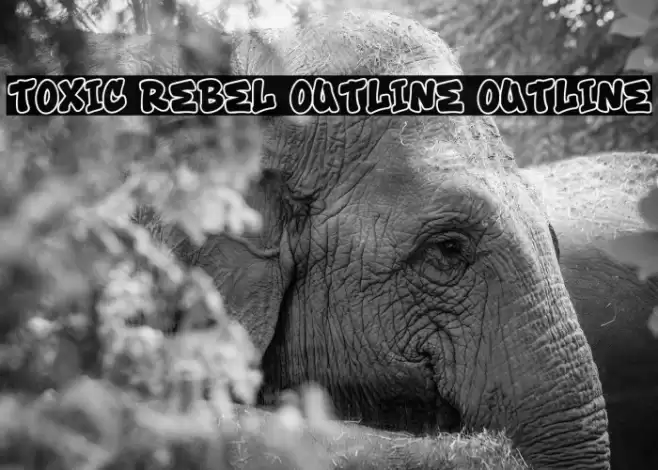 Toxic Rebel Outline Outline Font examples