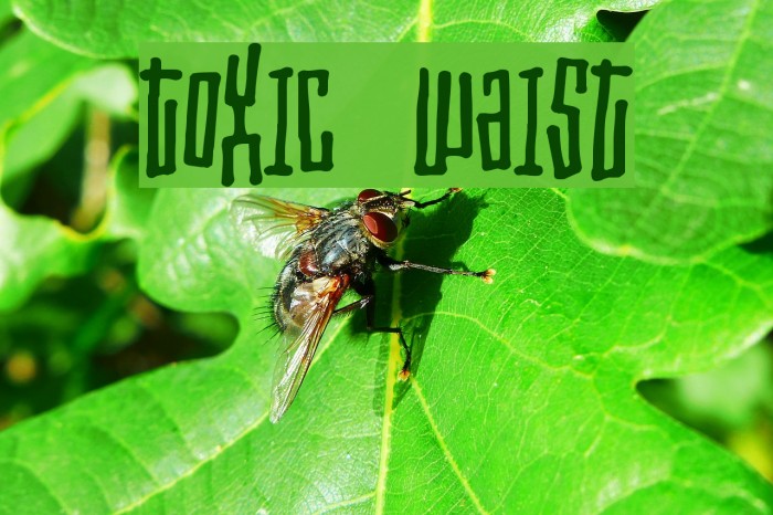 Toxic waist Font examples