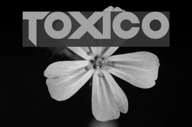 Toxico Font examples