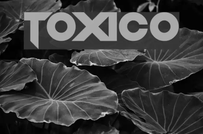 Toxico Font examples