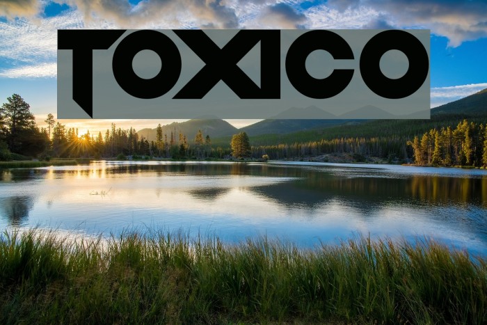 Toxico Example 1