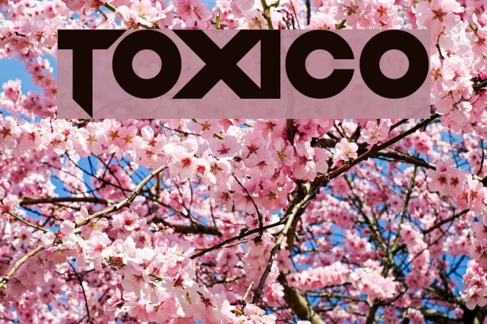Toxico Example 2