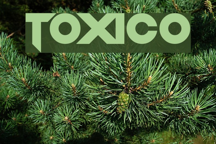 Toxico Example 3